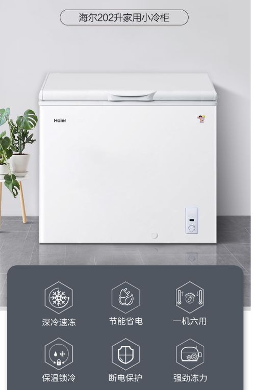 家電 現(xiàn)代家庭的智能伙伴與生活美學